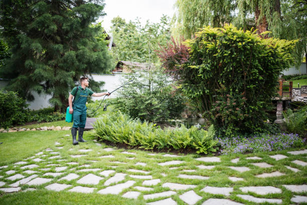 Best Ant Control Services  in Wabash, IN